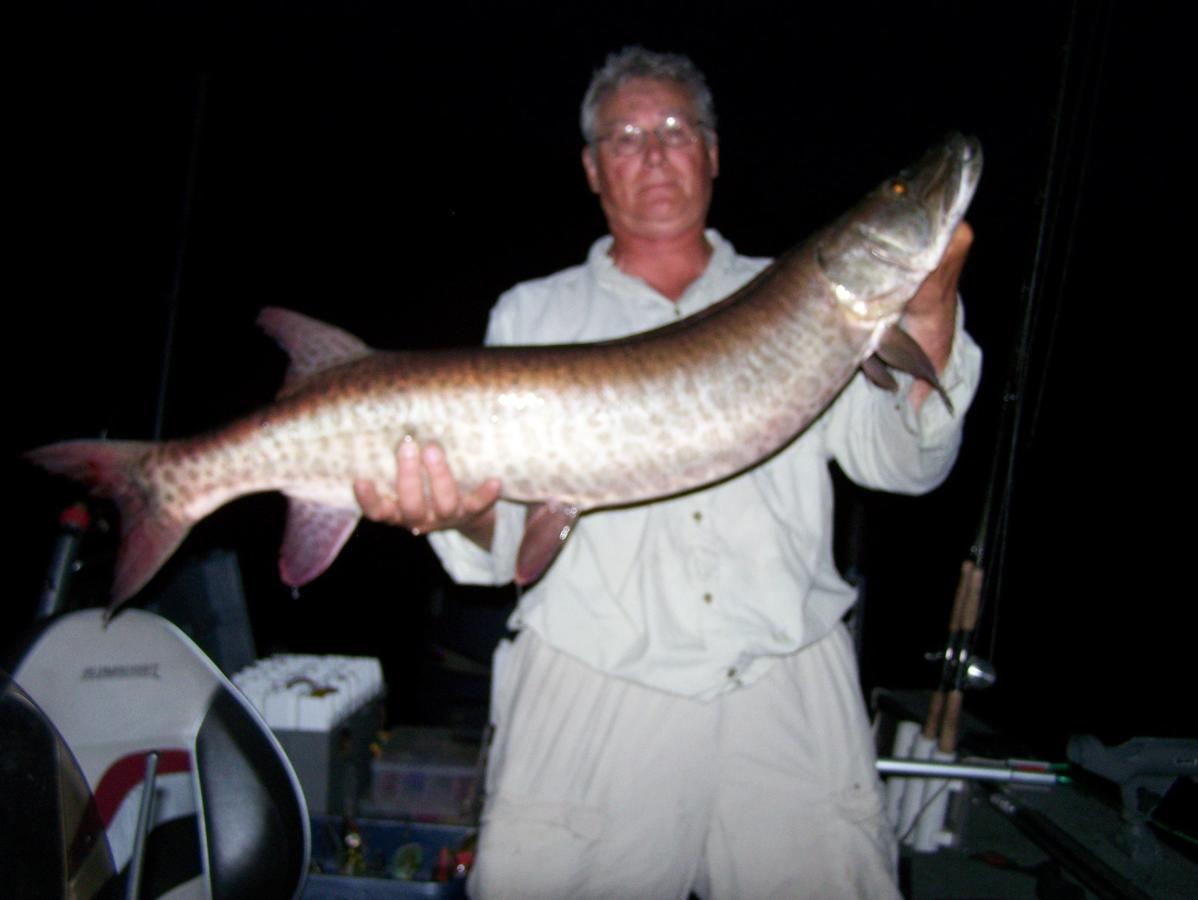 Nestor Falls Muskie Bay Resort מראה חיצוני תמונה